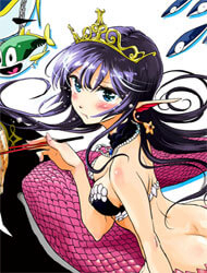 The Mermaid Princess